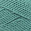 imageLion Brand Yarn Basic Stitch AntiPilling Yarn for Crocheting Knitting and Crafts Peachy 3 PackBeryl