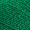 imageLion Brand Yarn Basic Stitch AntiPilling Yarn for Crocheting Knitting and Crafts Peachy 3 PackGrass