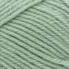 imageLion Brand Yarn Basic Stitch AntiPilling Yarn for Crocheting Knitting and Crafts Peachy 3 PackSage