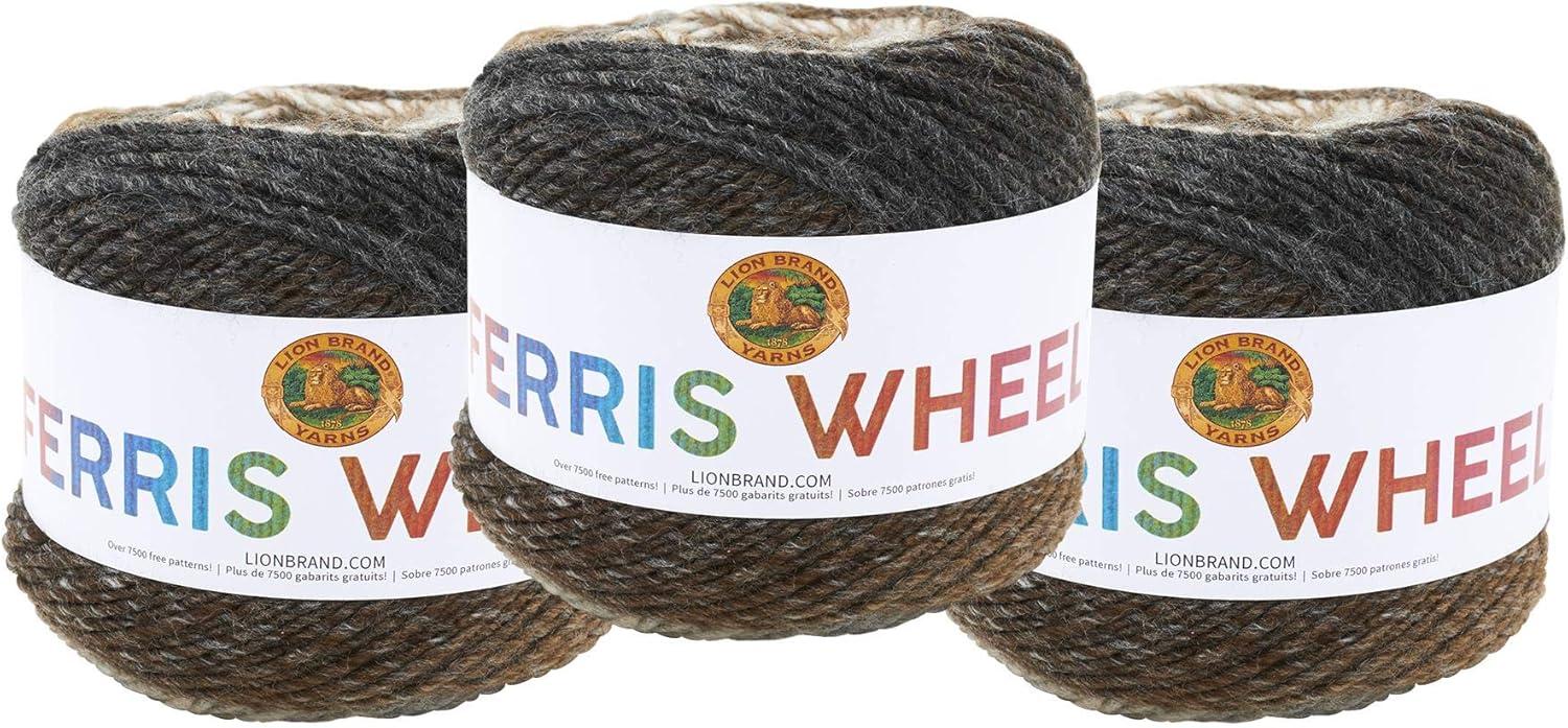 imageLion Brand Yarn Ferris Wheel Yarn Roving Multicolor Yarn for Knitting Crocheting and Crafts 3 Pack Wild VioletsMorning Java