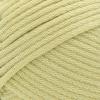 imageLion Brand Lazy Days Beginner Yarn for Knitting Crocheting and Crafts Surf Spray 3 PackLichen