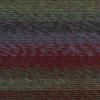 imageLion Brand Yarn Ferris Wheel Yarn Roving Multicolor Yarn for Knitting Crocheting and Crafts 3 Pack Wild VioletsImaginary Garde