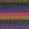 imageLion Brand Yarn Ferris Wheel Yarn Roving Multicolor Yarn for Knitting Crocheting and Crafts 3 Pack Wild VioletsSummer Day