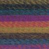 imageLion Brand Yarn Ferris Wheel Yarn Roving Multicolor Yarn for Knitting Crocheting and Crafts 3 Pack Wild VioletsSummer Day