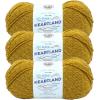 imageLion Brand Yarn Heartland Yarn WorstedWeight Yarn for Knitting Crocheting and Crafting 3 Pack Petrified ForestCanyonlands
