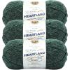 imageLion Brand Yarn Heartland Yarn WorstedWeight Yarn for Knitting Crocheting and Crafting 3 Pack Petrified ForestKings Canyon