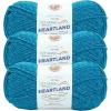 imageLion Brand Yarn Heartland Yarn WorstedWeight Yarn for Knitting Crocheting and Crafting 3 Pack Petrified ForestVirgin Islands