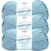 imageLion Brand Yarn Heartland Yarn WorstedWeight Yarn for Knitting Crocheting and Crafting 3 Pack Petrified ForestVoyageurs