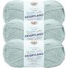 imageLion Brand Yarn Heartland Yarn WorstedWeight Yarn for Knitting Crocheting and Crafting 3 Pack Petrified ForestWhite Sands